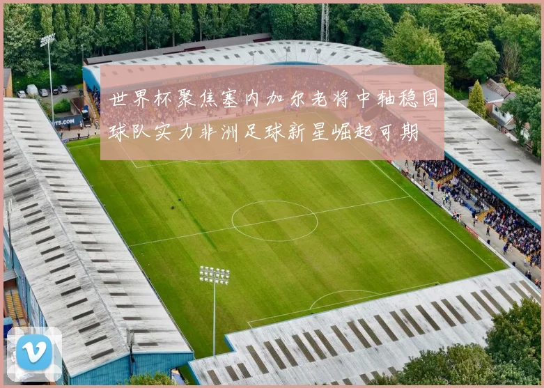 世界杯聚焦塞内加尔老将中轴稳固球队实力非洲足球新星崛起可期