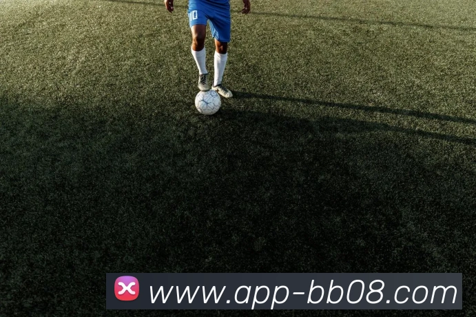 BB体育APP 封面图